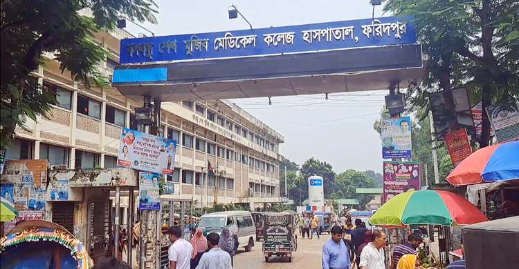 ফরিদপুরে ডেঙ্গুতে আরও ৫ জনের মৃত্যু