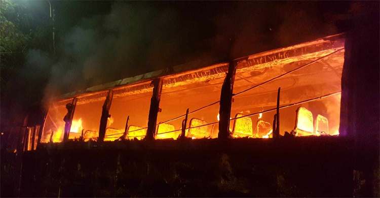 মিরপুরে প্রজাপতি পরিবহনে আগুন