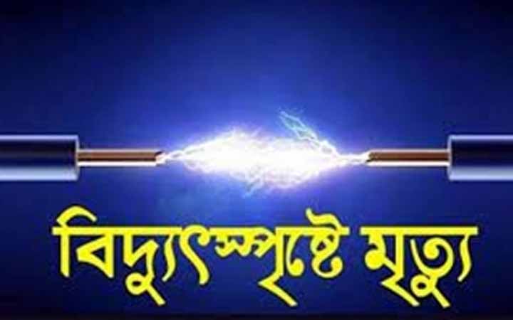 শিয়াল ঠেকানোর ফাঁদে প্রাণ গেল কৃষকের