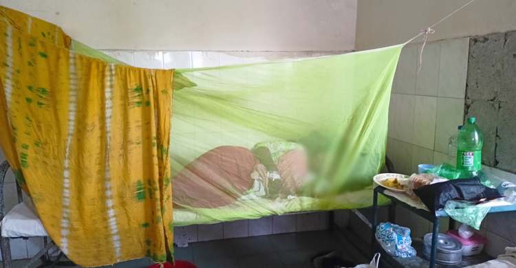 গৃহবধূকে পুড়িয়ে হত্যার চেষ্টা