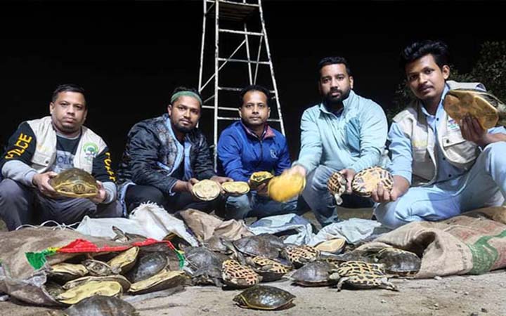 তিন প্রজাতির সাত মণ কচ্ছপ জব্দ