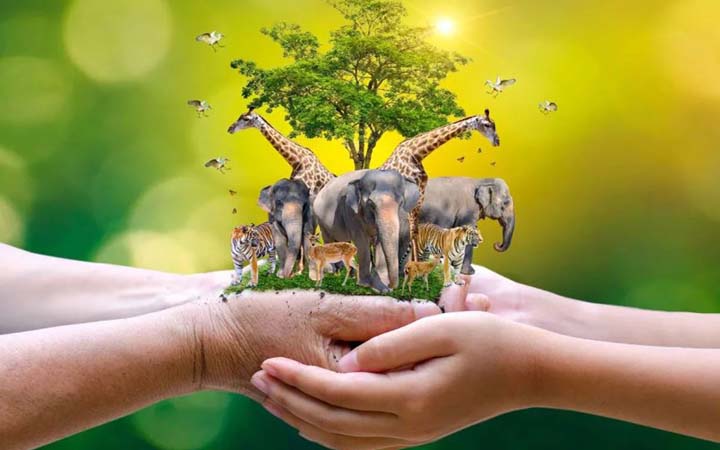 বিশ্ব বন্যপ্রাণী দিবস আজ