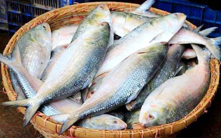 ঢাকার চেয়ে , কলকাতায়  সস্তায় বিক্রি হচ্ছে ইলিশ