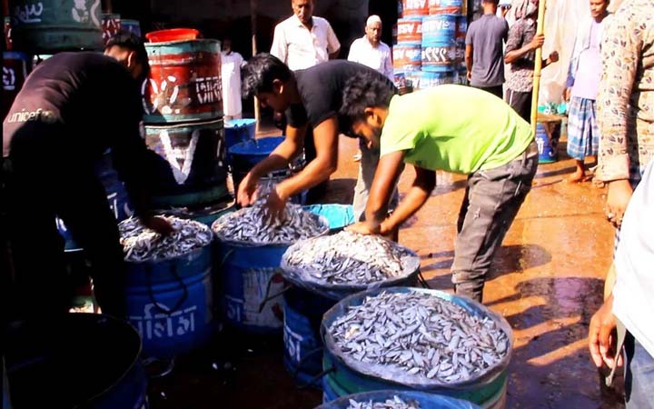 কাপ্তাই হ্রদে মাছের বাম্পার আহরণ, রাজস্ব আয়ে রেকর্ড