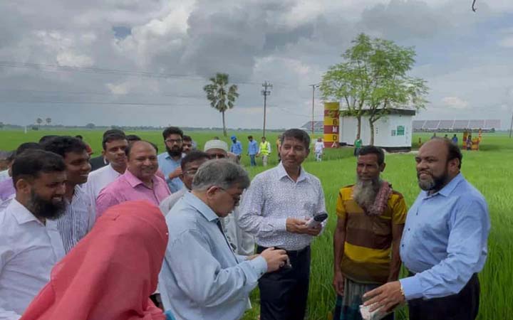 আমাদের সারের কোনো সংকট নেই : কৃষি সচিব