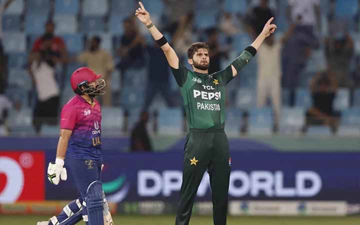 আমিরাতকে হারিয়ে শেষ চারে পাকিস্তান