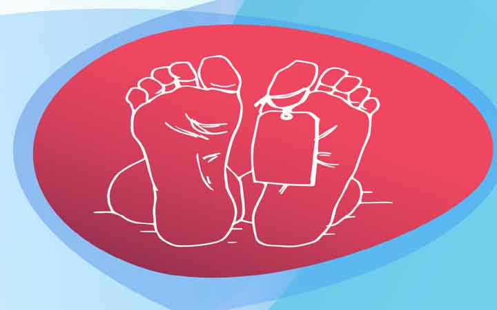 শেরপুরে বিদ্যুৎস্পৃষ্টে প্রাণ গেল দুজনের