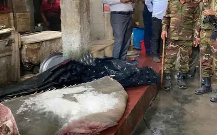 ঝালকাঠিতে মহাবিপন্ন করাত মাছ নিয়ে চাঞ্চল্য