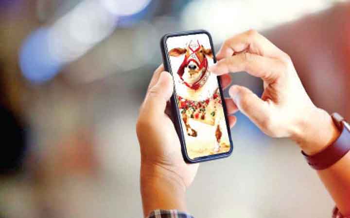 ভাইরাল কোরবানির পশু কেনার বিধান