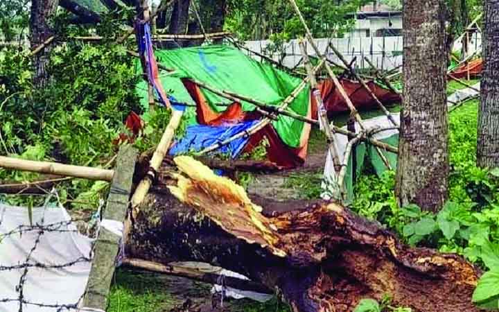 সদরপুরে ঝড়ে তাঁবুর নিচে আশ্রয়, গাছচাপায় প্রাণ গেল শ্রমিক নেতার