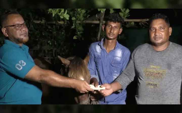 অন্ধ ঘোড়াকে আশ্রয় দেওয়া সাতক্ষীরার সোহানের পাশে প্রধানমন্ত্রী