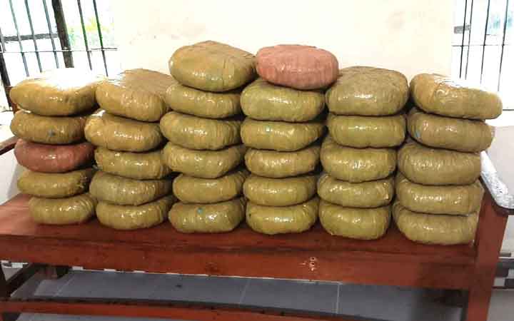 পটুয়াখালীতে ৬৬ কেজি গাঁজা জব্দ