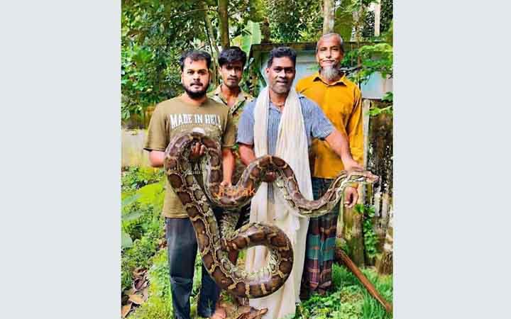 আবাসস্থল সংকটে লোকালয়ে লাউয়াছড়ার সাপ, বাড়ছে উদ্বেগ