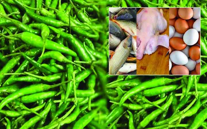 রংপুরে কাঁচা মরিচ ২৮০ টাকা, স্বস্তি মাছ মাংস ডিমে