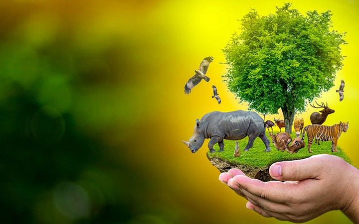প্রকৃতি রক্ষায় বন্যপ্রাণীর ব্যাপারে ইসলামের নির্দেশনা