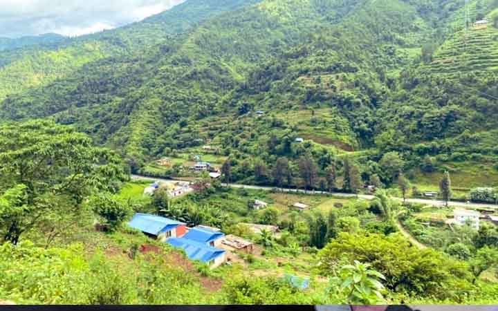 দারিদ্র্যের সুযোগ নিয়ে কিডনি বিক্রি, নেপালের এক গ্রামের করুণ গল্প