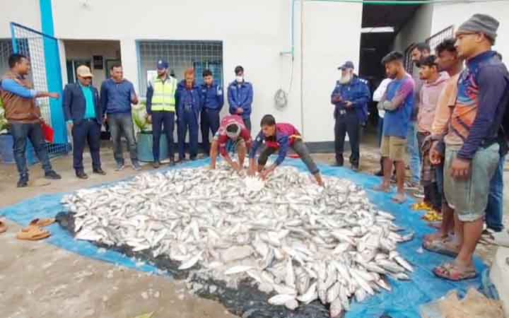 জব্দ করা ৩৫ মণ জাটকা বিভিন্ন মাদরাসা-এতিমখানায় বিতরণ
