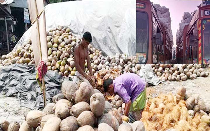 প্রথমবারের মতো ভারত থেকে এলো ৫০ টন নারকেল