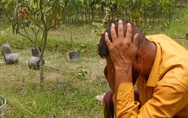 শত্রুতার জেরে ১০ লাখ টাকার গাছ কাটার অভিযোগ