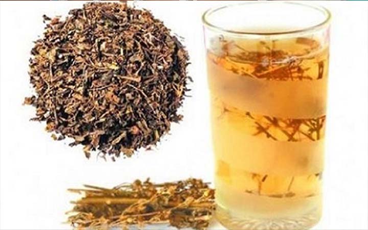 তারুণ্য ধরে রাখতে চিরতা
