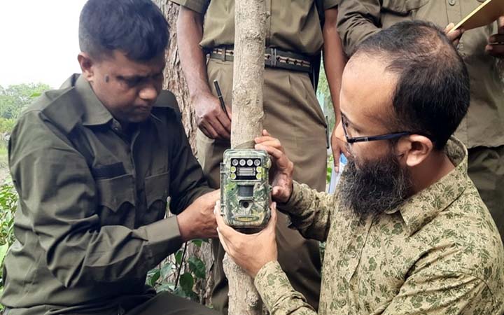 সুন্দরবনে বাঘ গণনা শুরু
