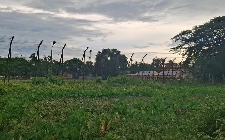 কুলাউড়া সীমান্তে বিএসএফের গুলিতে বাংলাদেশী নিহত