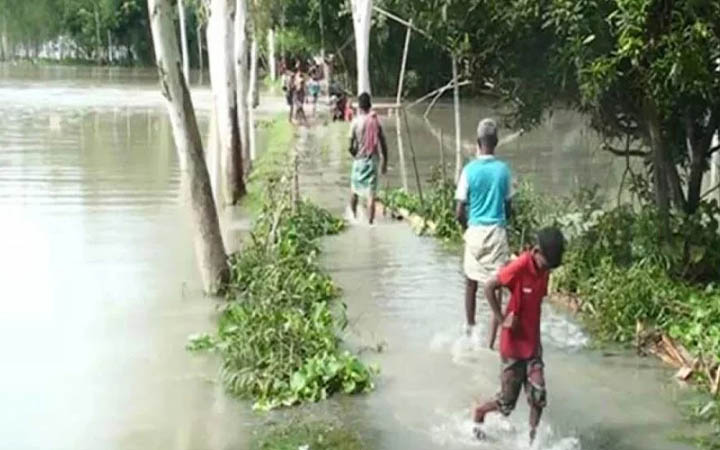 যমুনার পানি বেড়ে সিরাজগঞ্জের নিম্নাঞ্চল প্লাবিত