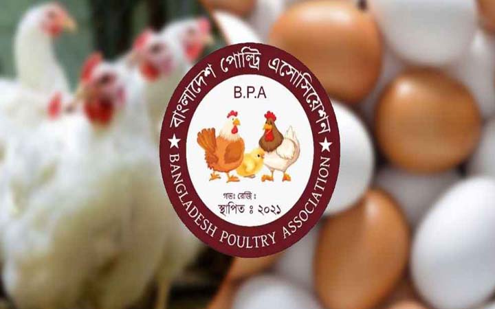 সারাদেশে ডিম-মুরগির উৎপাদন পহেলা মে থেকে বন্ধ ঘোষণা