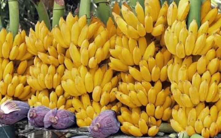 কলা কখন খেলে শরীরের জন্য উপকার