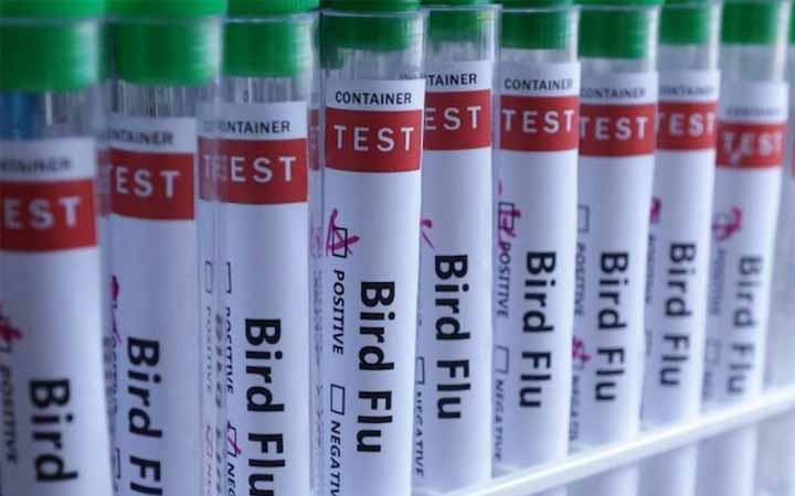 মেক্সিকোতে প্রথম এইচ৫এন১ বার্ড ফ্লু রোগী শনাক্ত