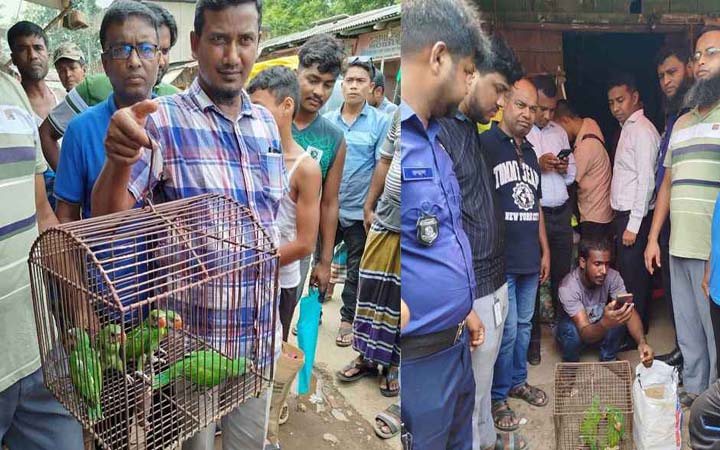 ফেসবুকে পাখি বিক্রির পোস্ট দিয়ে ফেঁসে গেলেন বিক্রেতা
