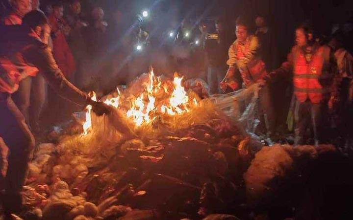 বরগুনায় ৩৩ লাখ টাকা মূল্যের অবৈধ জাল পুড়িয়ে ধ্বংস