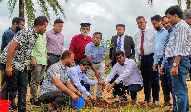 কুবিতে ৩৫০০ দুর্লভ প্রজাতির চারা রোপণ কর্মসূচি