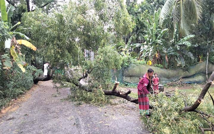 নোয়াখালীতে প্রবল ঝড়ে ব্যাপক ক্ষতি