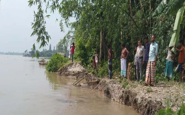 কুড়িগ্রামে তিস্তার ভাঙনে অর্ধশতাধিক ঘরবাড়ি নদীগর্ভে