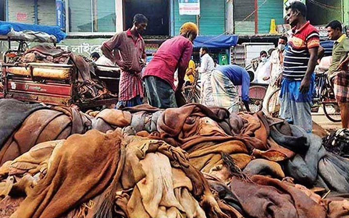 চামড়া বহন ও সংরক্ষণে বিসিকের নির্দেশনা