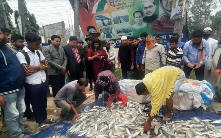 চাঁদপুরে পাচারকালে সাড়ে ১২ মণ জাটকা জব্দ