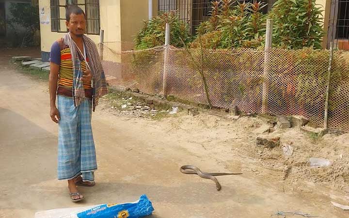 হাসপাতালে সাপ নিয়ে হাজির সাপে কাটা রোগী
