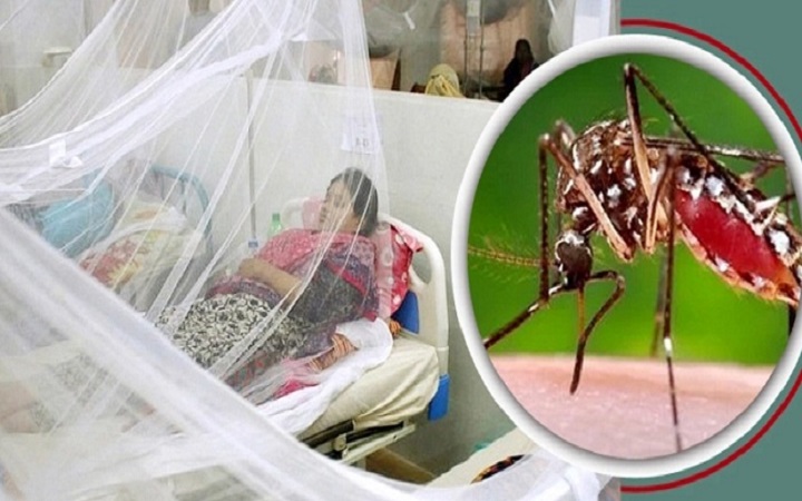 ডেঙ্গুতে একদিনে রেকর্ড ১৩ জনের মৃত্যু