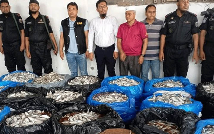 জাটকা ইলিশ সংরক্ষণ করায় ২৫ জেলের অর্থদণ্ড