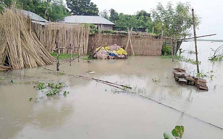 ফারাক্কার পানিতে নাটোরে বন্যা