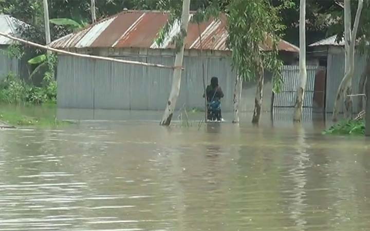 কুড়িগ্রামে ভারী বৃষ্টিতে বাড়ছে নদ-নদীর পানি