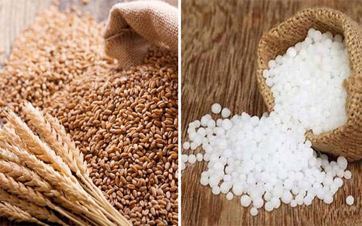 রাশিয়া-ভারতসহ ৪টি দেশ থেকে গম চাল সার কিনবে সরকার