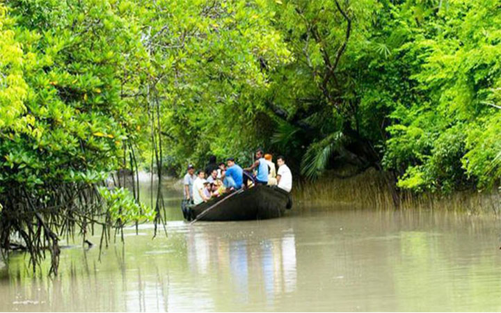 আজ থেকে ৩ মাস সুন্দরবনে প্রবেশে নিষেধাজ্ঞা