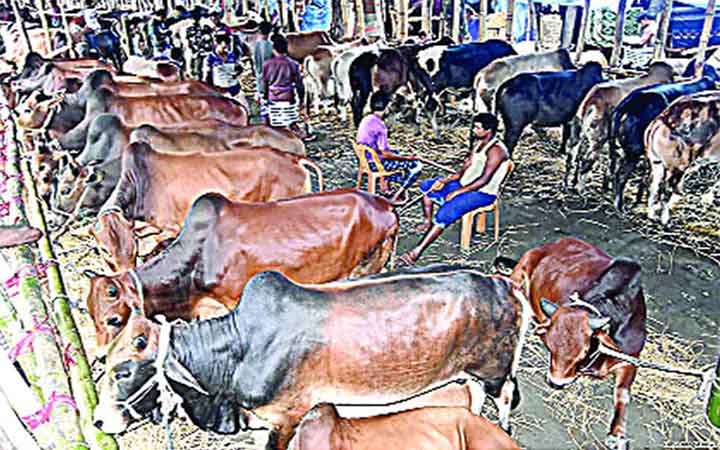 পশুর হাটে জালনোট ধরতে নৌ-পুলিশের ১০৮ মেশিন