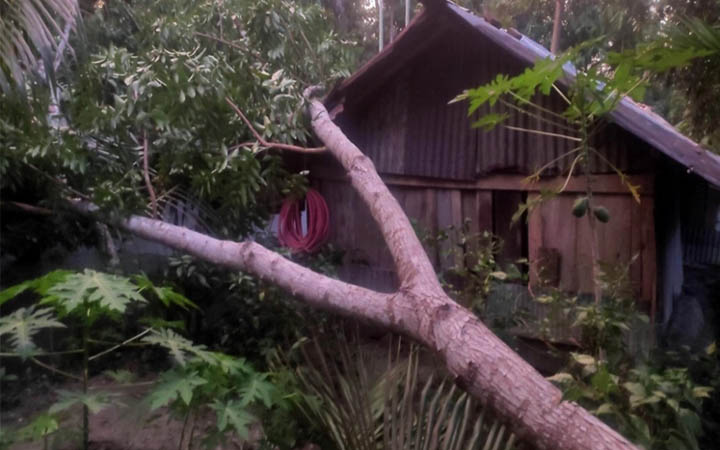 কালবৈশাখীর ছোবলে বিপর্যস্ত শরণখোলার ৩ গ্রাম