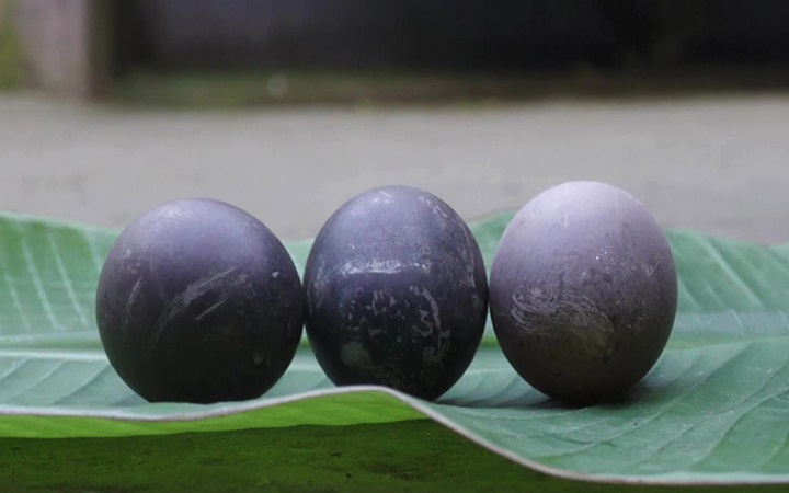 আবারো কালো ডিম দিচ্ছে পাতিহাঁস!