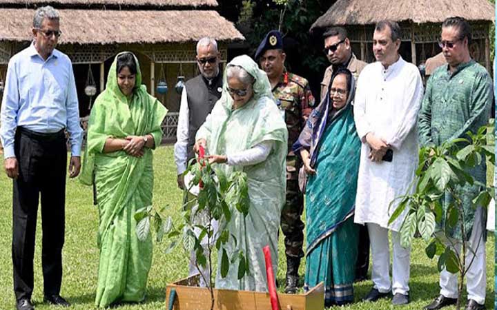 গণভবনের লনে গাছের চারা রোপন করলেন প্রধানমন্ত্রী