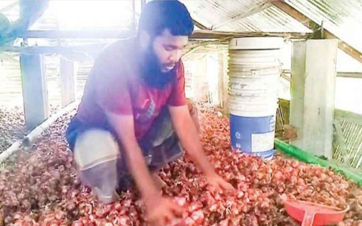 ৯ মাস নয় ৩ মাসেই পচছে পেঁয়াজ, ক্ষতির মুখে কৃষক
