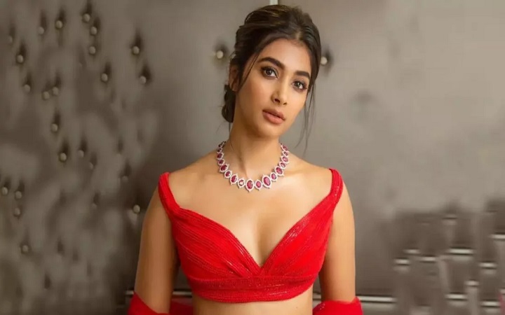 বলিউড যেখানে শেষ আশ্রয়!